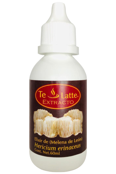 Te Latte Café - Elixir  de Hericium erinaceus, MELENA DE LEON